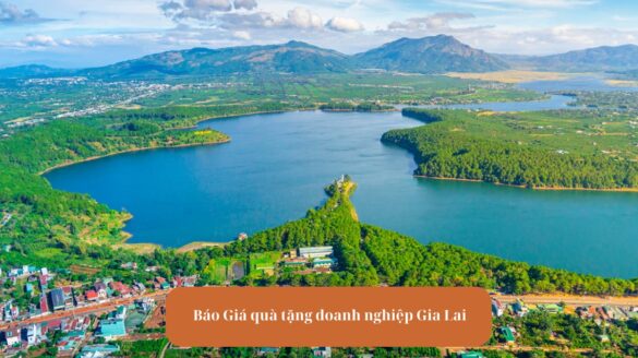 Avt Báo Giá Quà Tặng Doanh Nghiệp Tại Gia Lai mekoong