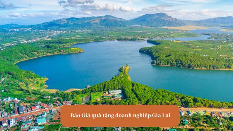 Avt Báo Giá Quà Tặng Doanh Nghiệp Tại Gia Lai mekoong