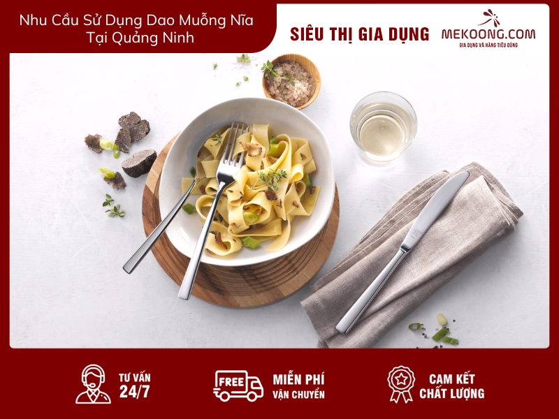 Nhu Cầu Sử Dụng Dao Muỗng Nĩa Tại Quảng Ninh mekoong