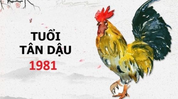 1981 mệnh gì (1200x673)