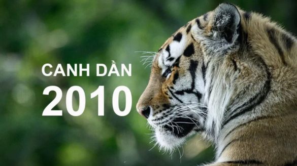 2010 mệnh gì (1200x673)