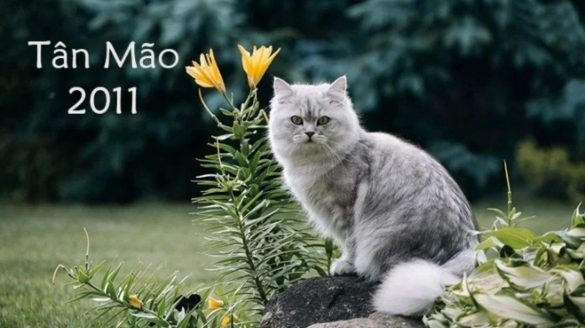 2011 mệnh gì (1200x673)