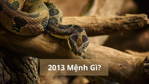 2013 mệnh gì (1200x673)