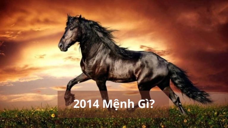 2014 mệnh gì (1200x673)