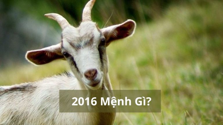 2015 mệnh gì (1200x673)