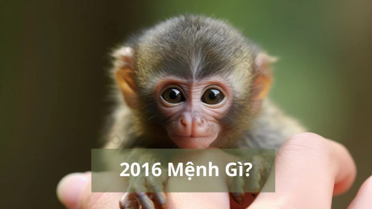2016 mệnh gì (1200x673)