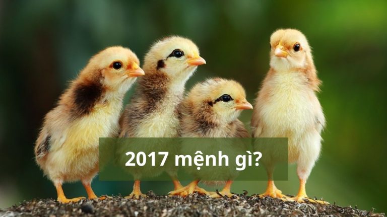 2017 mệnh gì (1200x673)