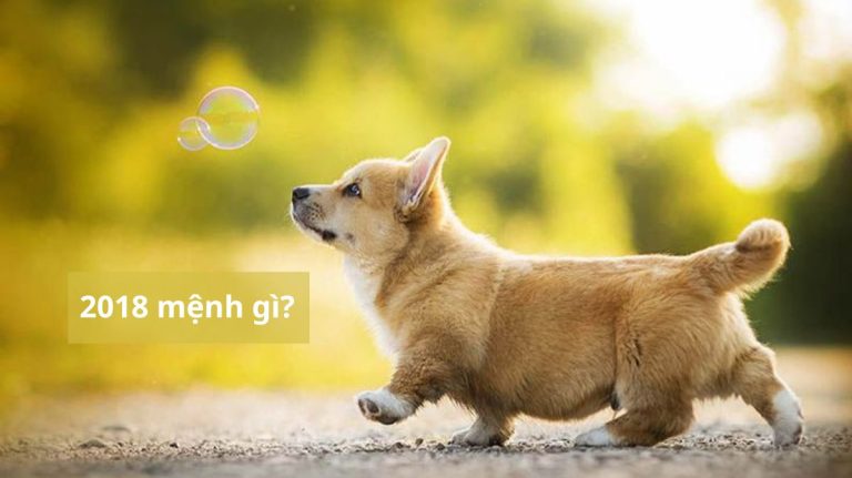 2018 mệnh gì (1200x673)
