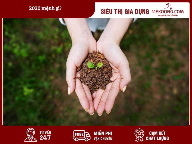 2020 Mệnh Gì Giải Mã Vận Mệnh Năm Canh Tý (Bích Thượng Thổ)