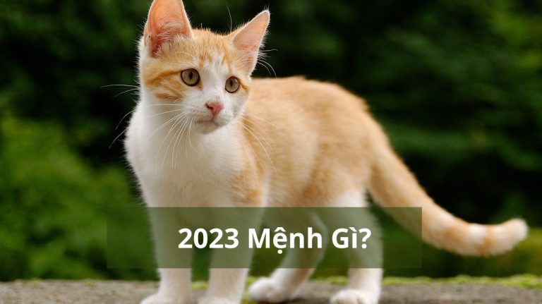 2023 mệnh gì (1200x673) Mekoong