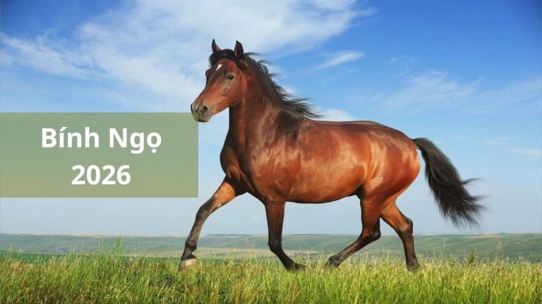 2026 mệnh gì (1200x673)
