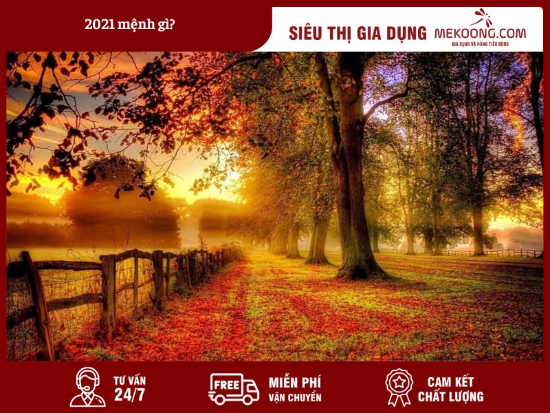 Bí ẩn về mệnh Bích Thượng Thổ sinh năm 2021 Giải mã ngũ hành, tính cách và vận mệnh