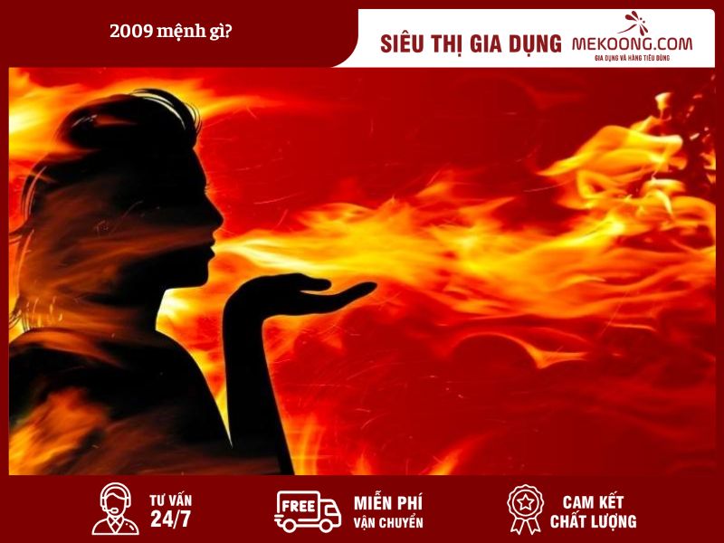 Mệnh năm 2009 là gì Giải mã vận mệnh tuổi Kỷ Sửu theo Ngũ hành