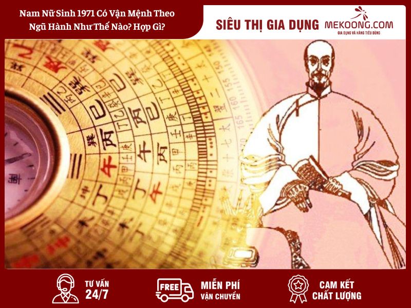 Nam Nữ Sinh 1971 Có Vận Mệnh Theo Ngũ Hành Như Thế Nào_ Hợp Gì