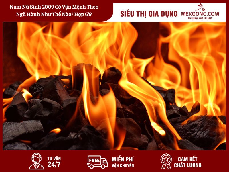 Nam Nữ Sinh 2009 Có Vận Mệnh Theo Ngũ Hành Như Thế Nào_ Hợp Gì