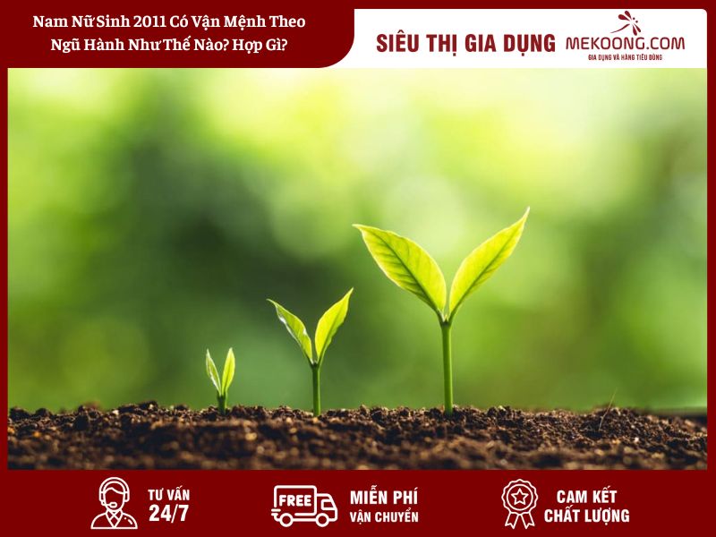 Nam Nu Sinh 2011 Co Van Menh Theo Ngu Hanh Nhu The Nao Hop Gi Nam Nữ Sinh 2011 Có Vận Mệnh Theo Ngũ Hành Như Thế Nào_ Hợp Gì