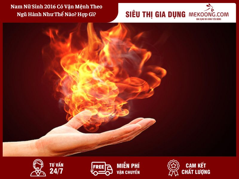 Nam Nữ Sinh 2016 Có Vận Mệnh Theo Ngũ Hành Như Thế Nào_ Hợp Gì