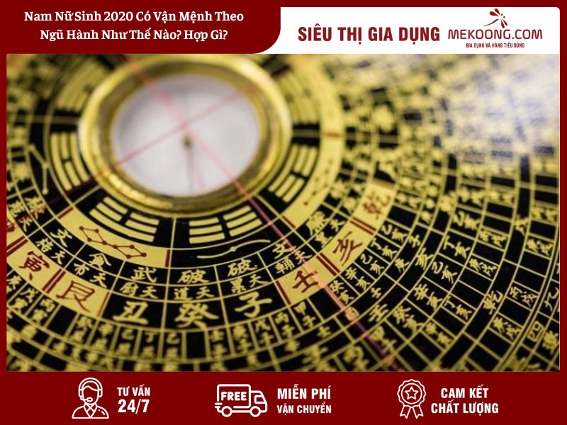 Nam Nữ Sinh 2020 Có Vận Mệnh Theo Ngũ Hành Như Thế Nào_ Hợp Gì