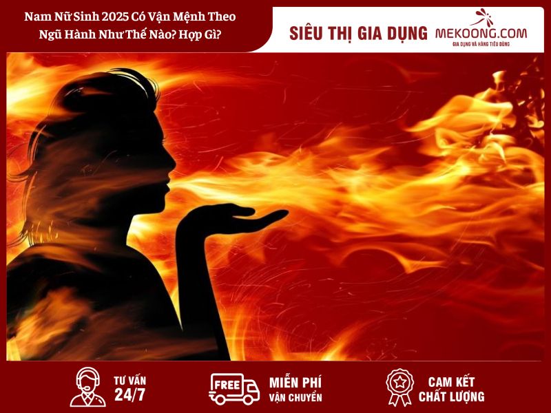Nam Nữ Sinh 2025 Có Vận Mệnh Theo Ngũ Hành Như Thế Nào_ Hợp Gì
