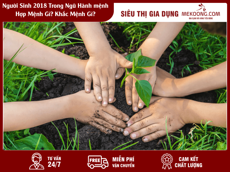 Nguoi Sinh 2018 Trong Ngu Hanh menh Hop Menh Gi Khac Menh Gi Người Sinh 2018 Trong Ngũ Hành mệnh Hợp Mệnh Gì Khắc Mệnh Gì