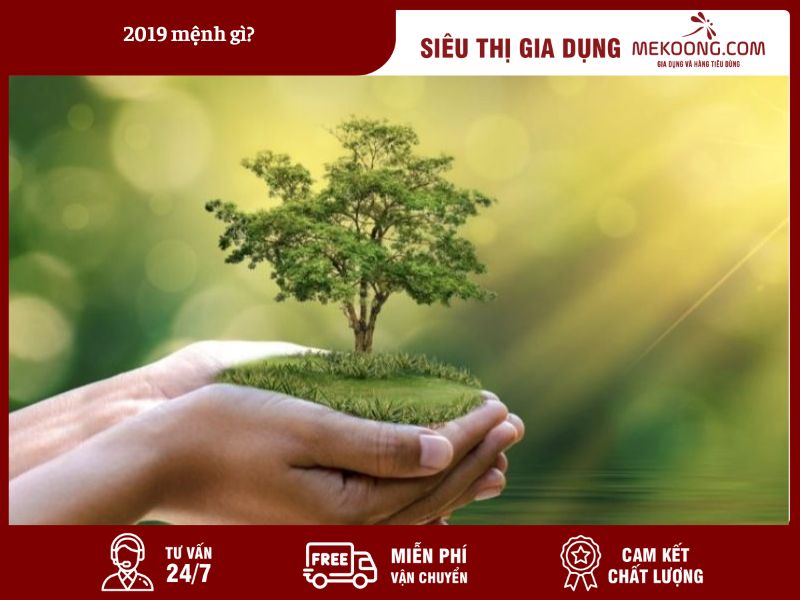 Người sinh năm 2019 mệnh gì Giải mã bí ẩn Ngũ hành và Can Chi