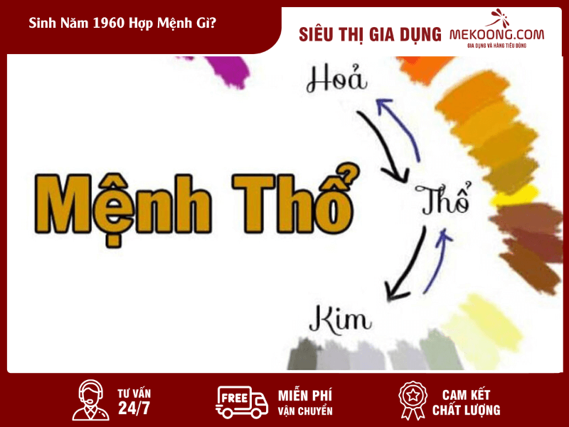 Sinh Năm 1960 Hợp Mệnh Gì