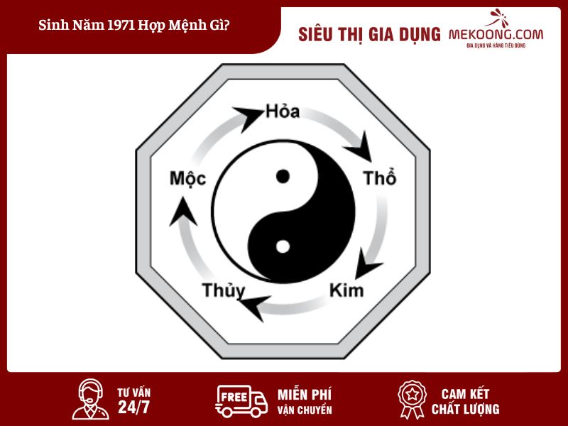 Sinh Năm 1971 Hợp Mệnh Gì