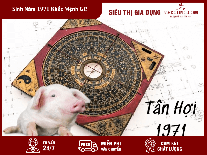 Sinh Năm 1971 Khắc Mệnh Gì