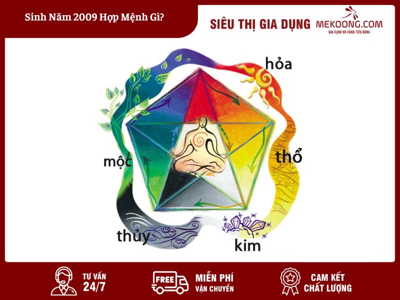 Sinh Năm 2009 Hợp Mệnh Gì