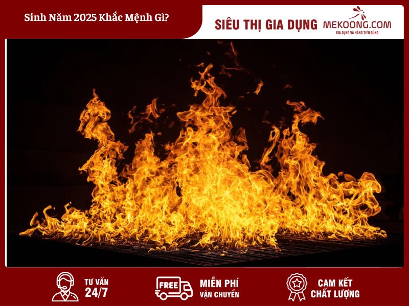 Sinh Năm 2025 Khắc Mệnh Gì