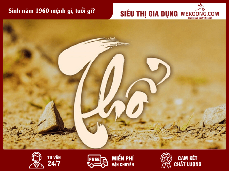 Sinh năm 1960 mệnh gì, tuổi gì