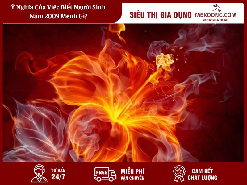 Ý Nghĩa Của Việc Biết Người Sinh Năm 2009 Mệnh Gì