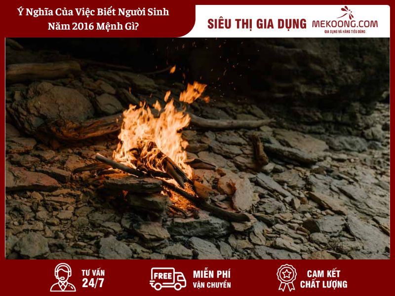 Ý Nghĩa Của Việc Biết Người Sinh Năm 2016 Mệnh Gì