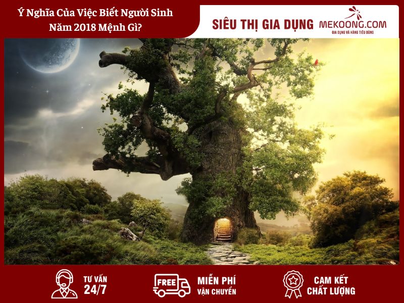 Y Nghia Cua Viec Biet Nguoi Sinh Nam 2018 Menh Gi Ý Nghĩa Của Việc Biết Người Sinh Năm 2018 Mệnh Gì