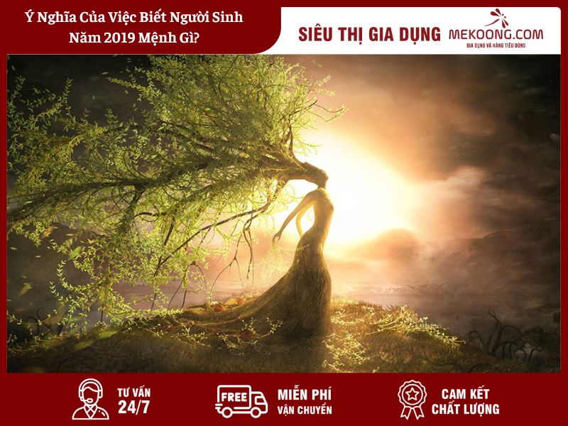 Ý Nghĩa Của Việc Biết Người Sinh Năm 2019 Mệnh Gì