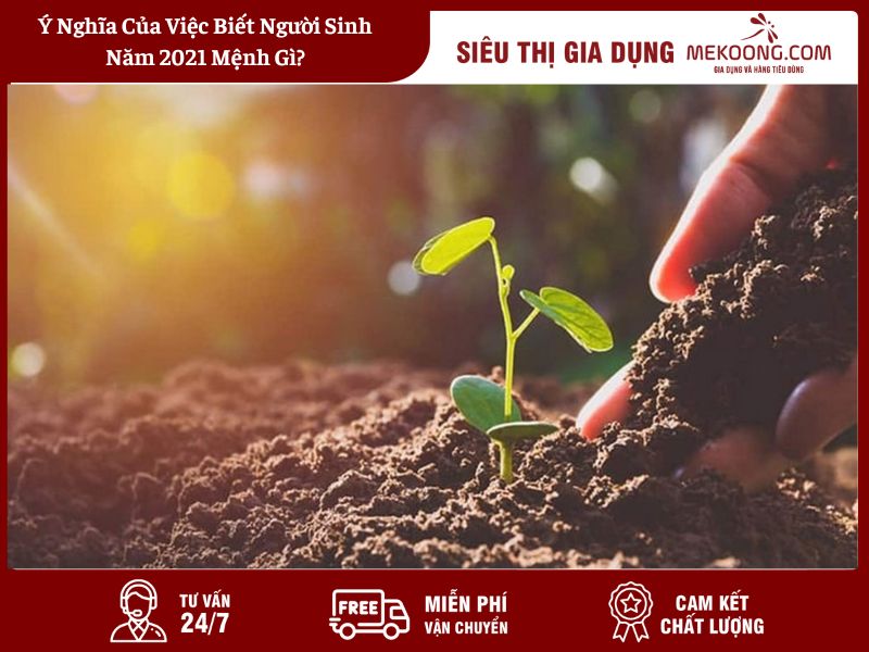 Ý Nghĩa Của Việc Biết Người Sinh Năm 2021 Mệnh Gì