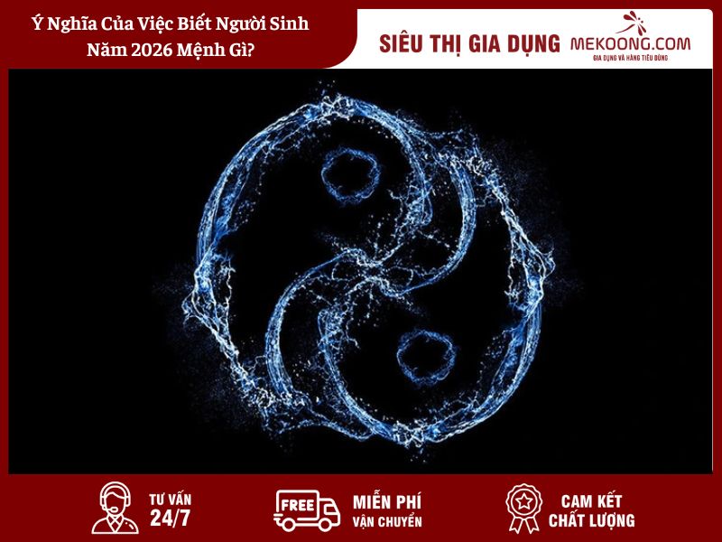 Y Nghia Cua Viec Biet Nguoi Sinh Nam 2026 Menh Gi Ý Nghĩa Của Việc Biết Người Sinh Năm 2026 Mệnh Gì