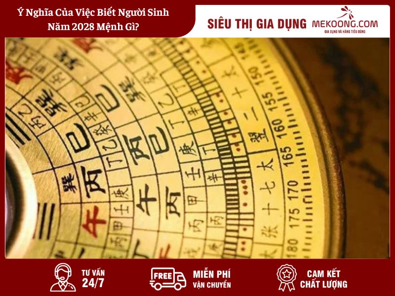 Ý Nghĩa Của Việc Biết Người Sinh Năm 2028 Mệnh Gì