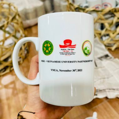 Ca bia sứ in logo 500ml làm quà tặng