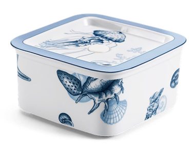 Hộp dưỡng sinh vuông đựng thực phẩm 15 cm + nắp - Đại Dương