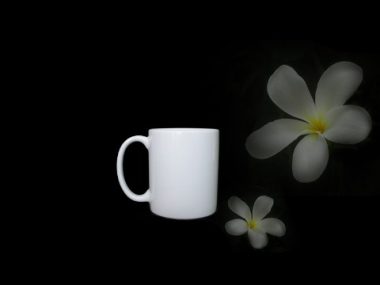 Ca Bia sứ Minh Long 0.36L Trắng đẹp