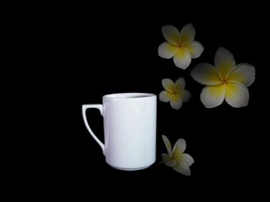 Ca Trà sứ Minh Long 0