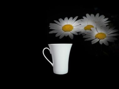 Ca Trà sứ Minh Long 0