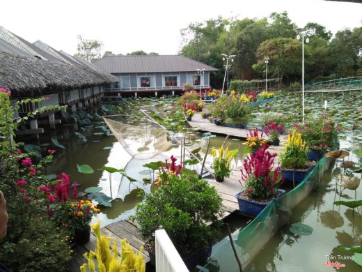 Giới thiệu đôi nét về nhà hàng Hương Quê