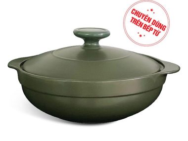 Nồi dưỡng sinh hai quai 3.0L + nắp (bếp từ) - HealthyCook - Xanh rêu