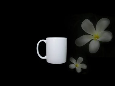 Ca Trà sứ Minh Long 0,36 L trắng
