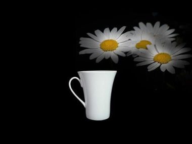 Ca Trà sứ Minh Long 0,30 L Daisy Trắng