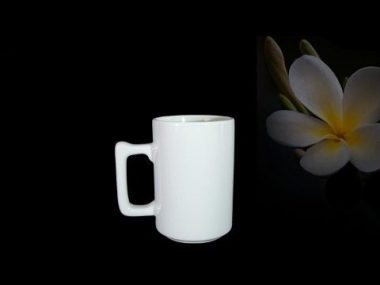 Ca bia 0.52 L (quai vuông) - Jasmine - Trắng